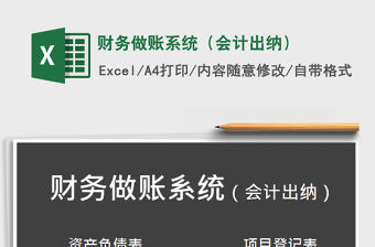 2021年財務做賬系統（會計出納）