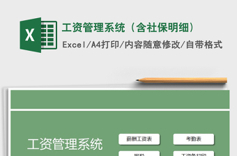 2021年工資管理系統(tǒng)（含社保明細(xì))