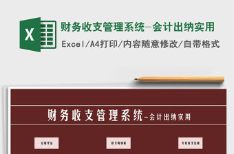 2021年財務收支管理系統-會計出納實用