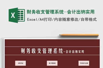 2021年財務(wù)收支管理系統(tǒng)-會計出納實用