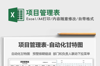 2021年項目管理表