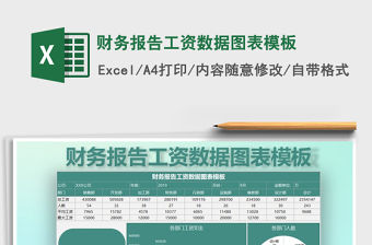 2021年財務報告工資數據圖表模板