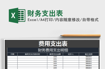 2021年財(cái)務(wù)支出表