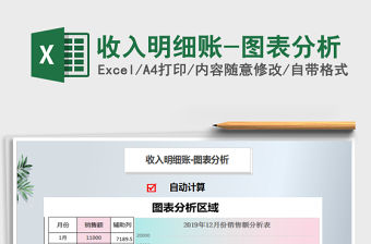 2021年收入明細賬-圖表分析