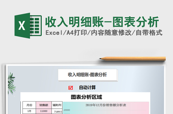 2021年收入明細(xì)賬-圖表分析