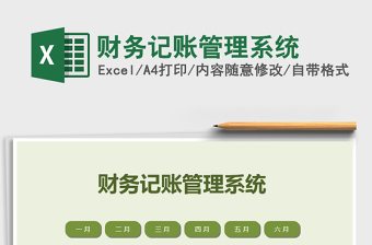 2021年財(cái)務(wù)記賬管理系統(tǒng)