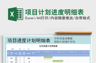 2021年項目計劃進度明細表