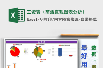 2021年工資表（簡潔直觀圖表分析）