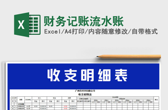 2021年財務(wù)記賬流水賬