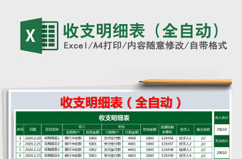 2021年收支明細(xì)表（全自動）