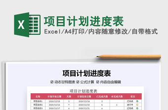 2021年項(xiàng)目計(jì)劃進(jìn)度表