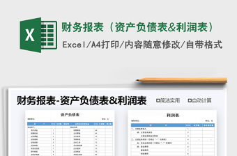 2021年財務(wù)報表（資產(chǎn)負債表&利潤表）