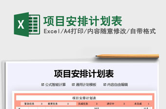 2021年項目安排計劃表