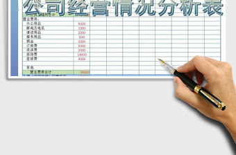 2021年公司經營情況分析表