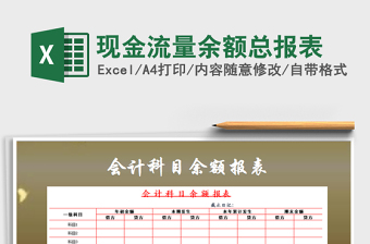 2021年現(xiàn)金流量余額總報(bào)表