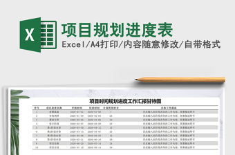 2021年項目規劃進度表