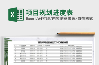 2021年项目规划进度表