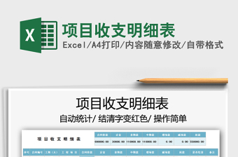 2021年項(xiàng)目收支明細(xì)表