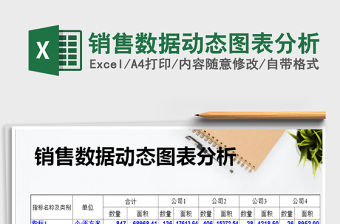 2021年銷售數據動態圖表分析