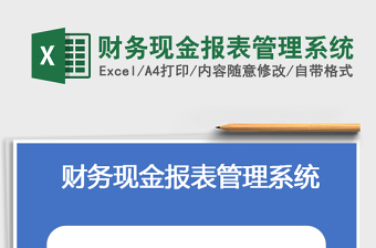 2021年财务现金报表管理系统