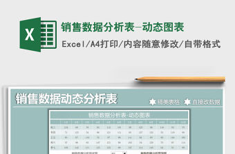 2021年銷售數據分析表-動態(tài)圖表