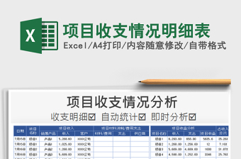 2021年項目收支情況明細(xì)表