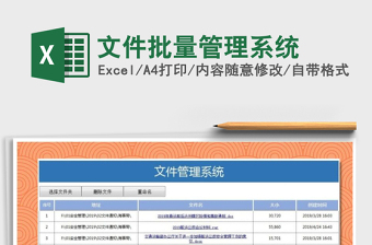 2021年文件批量管理系统