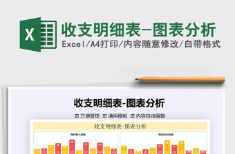 2021年收支明細(xì)表-圖表分析