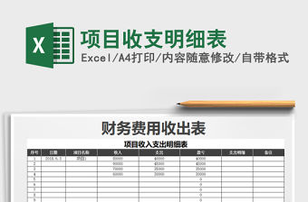 2021年項目收支明細表