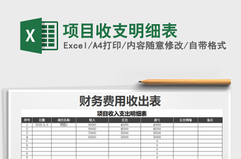 2021年項(xiàng)目收支明細(xì)表