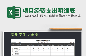 2022项目经费支出明细表模板