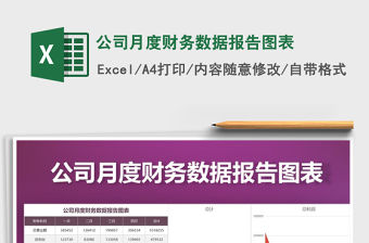 2021年公司月度財(cái)務(wù)數(shù)據(jù)報(bào)告圖表