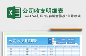 2021年公司收支明細表
