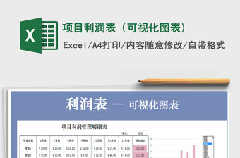 2021年項目利潤表（可視化圖表)