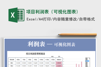 2021年項(xiàng)目利潤(rùn)表（可視化圖表)