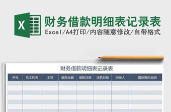 2021年財務借款明細表記錄表