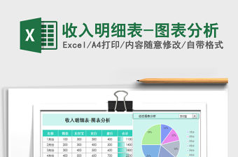 2021年收入明細表-圖表分析