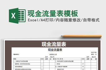 2021年現(xiàn)金流量表模板