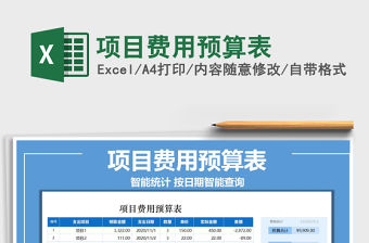 2021年項目費用預算表