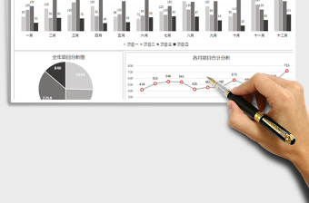 2021年全年项目收入图表分析