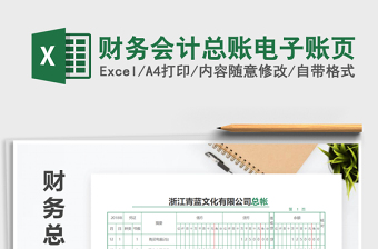 2021年財(cái)務(wù)會(huì)計(jì)總賬電子賬頁(yè)