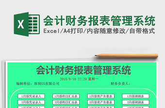 2021年會計財務(wù)報表管理系統(tǒng)
