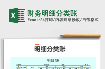 2021年財(cái)務(wù)明細(xì)分類賬
