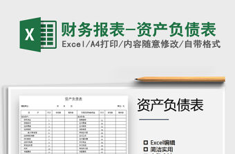 2021年財(cái)務(wù)報(bào)表-資產(chǎn)負(fù)債表