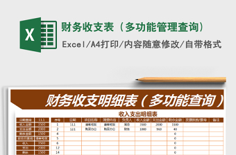 2021年財務(wù)收支表（多功能管理查詢)