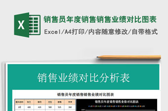 2021年銷售員年度銷售銷售業績對比圖表