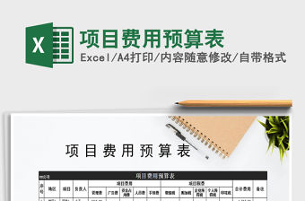 2021年項目費用預算表