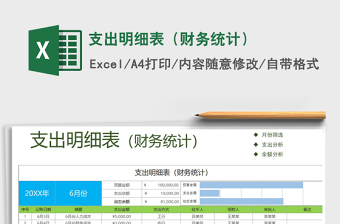 2021年支出明細(xì)表（財(cái)務(wù)統(tǒng)計(jì)）