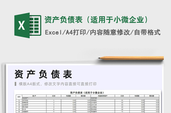 2021年資產(chǎn)負(fù)債表（適用于小微企業(yè)）