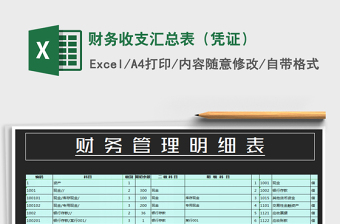 2021年財務(wù)收支匯總表（憑證）免費下載